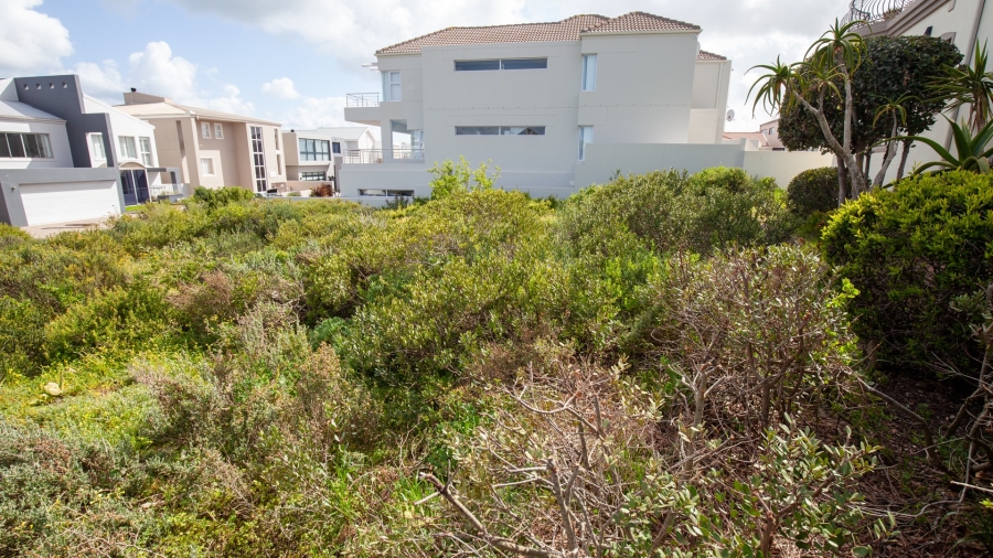 0 Bedroom Property for Sale in Calypso Beach Western Cape